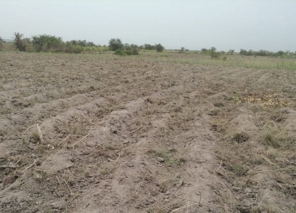 33 Hectares à vendre à COUFFONOU KPOMASSÈ proche ...