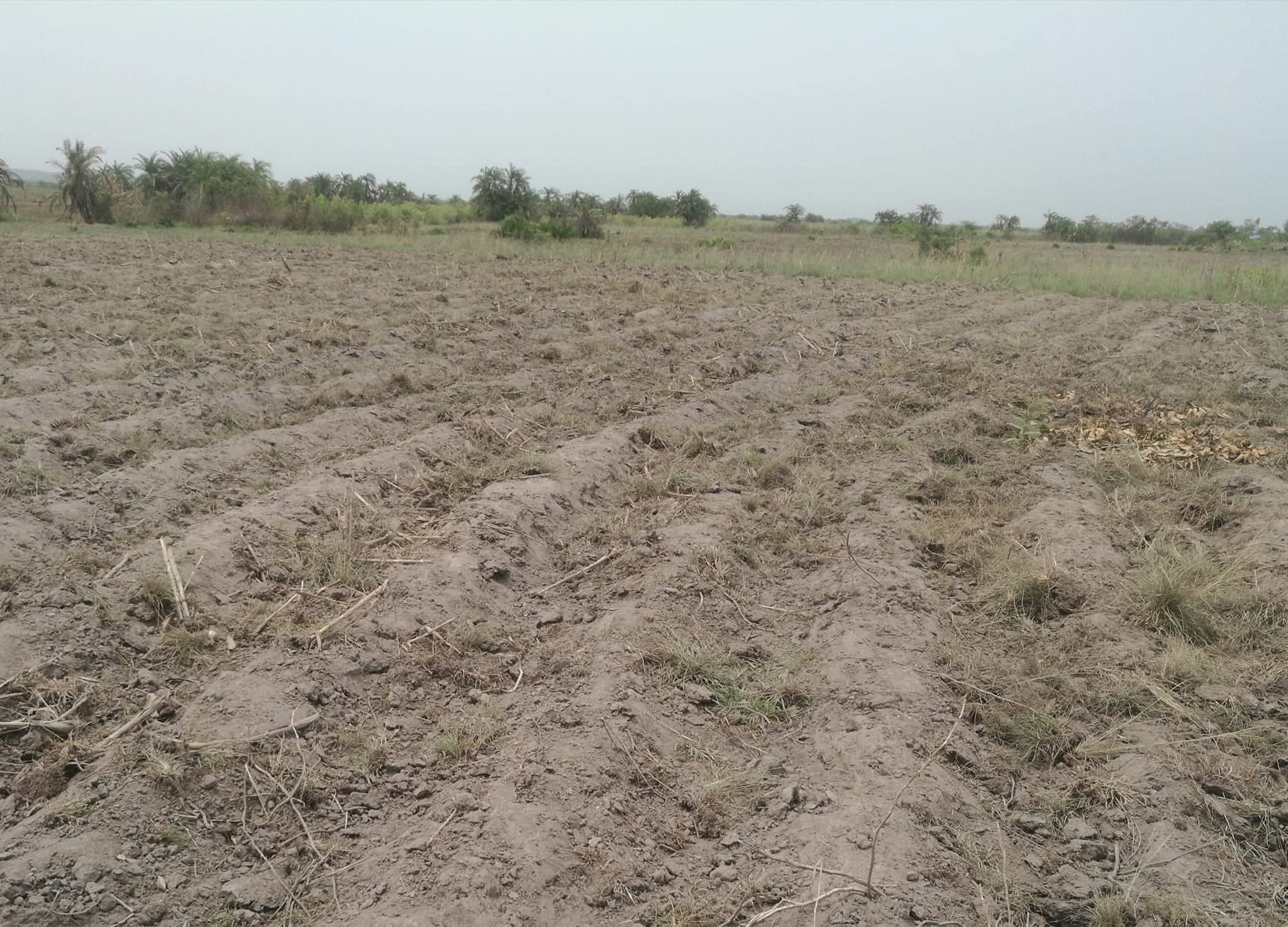 33 Hectares à vendre à COUFFONOU KPOMASSÈ proche d'une grande voie à goudronner