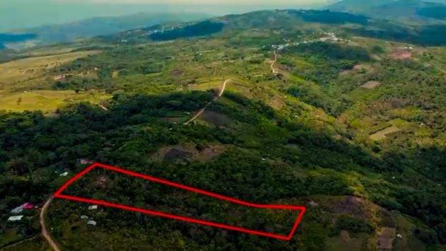 Great Investment Opportunity in the Tarapoto Jungle – Fundo San ...