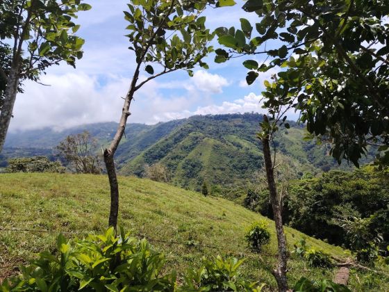 Construir en la naturaleza - Venta - Lote privado y accesible con clima ...