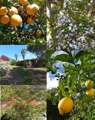 Maison de campagne paisible près d'un site classé au ...