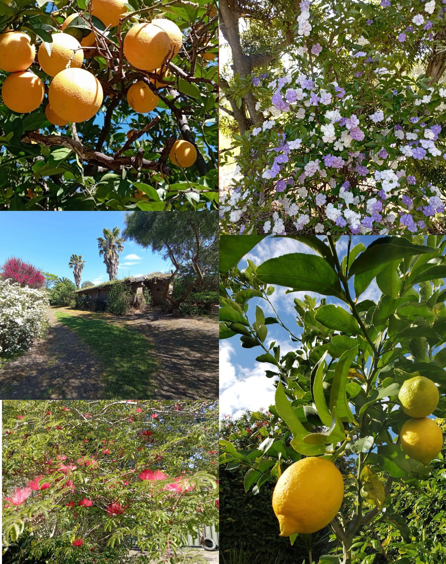 Tranquila casa rural cerca de un lugar emblemático de la UNESCO – Colonia del Sacramento, Uruguay