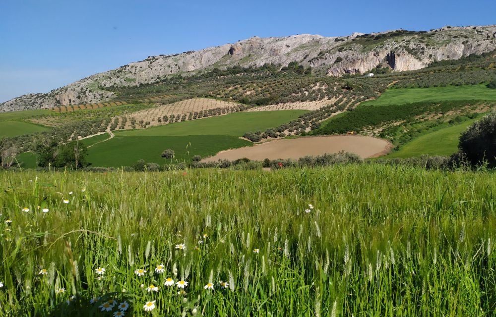 Vends Villa Espagne + Activité B2B Alimentation