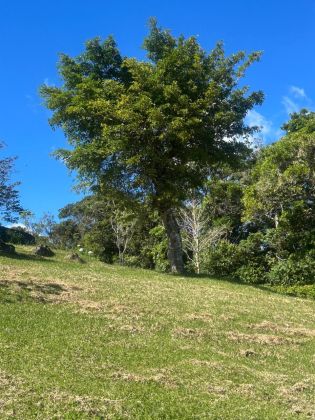 VENTA DE FINCA AGRÍCOLA EN CARTAGO