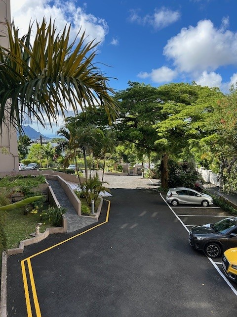 COLOCATION - 2 ROOMS IN HUGE 3 BR APARTMENT - FLOREAL