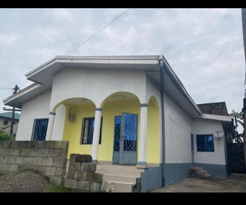 Maison a vendre a Bonapriso haut standing 