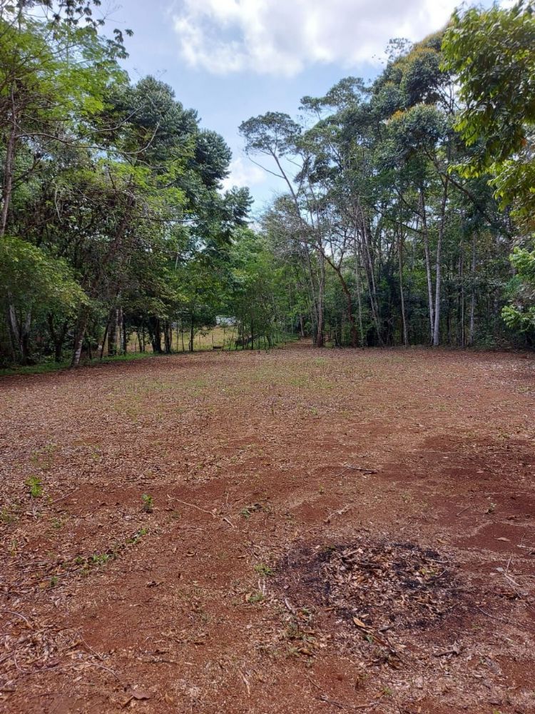 OPORTUNIDAD! VENTA DE QUINTA EN OROTINA