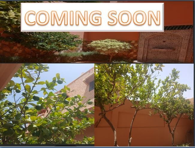 COMING SOON TO MARRAKECH: My villa floor will soon be available for rent