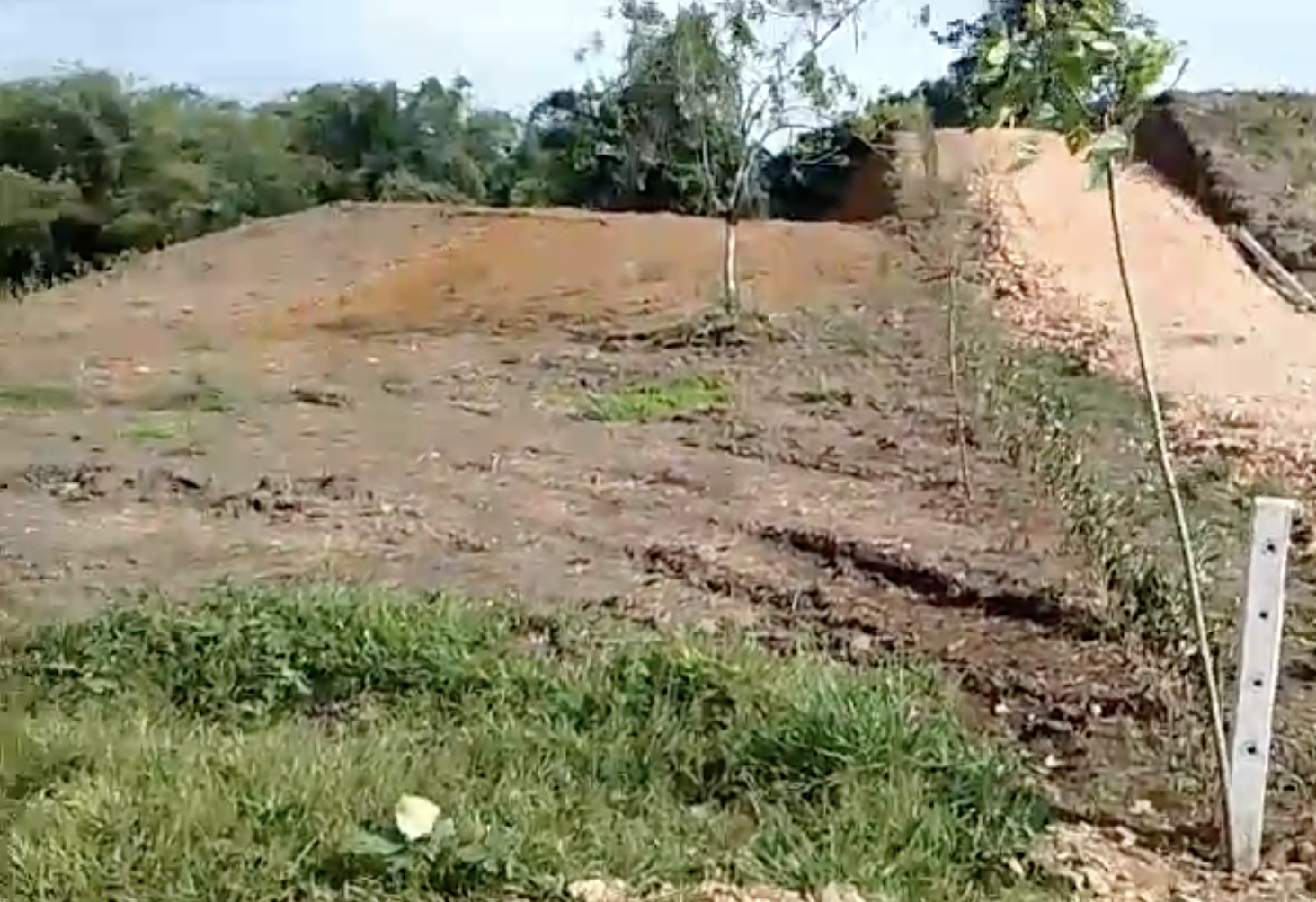 ECOLOGICAL LOT IN PEDRO VICENTE MALDONADO &#55356;&#57151; &#55358;&#56732; Toucan Refuge – 1,691.72 m² of natural harmony