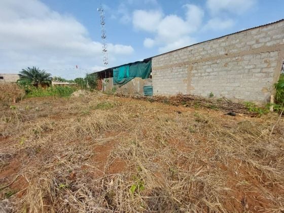 Atterra alla Missione Tové Win