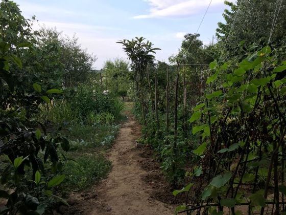 Sea & Forest View Residential Land with Livable Cabin in Şile ...