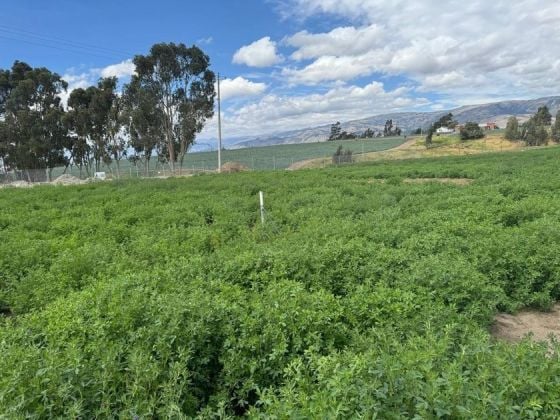 Terreno de 10.157 m²  perfecto para desarrollos agropecuarios, ...