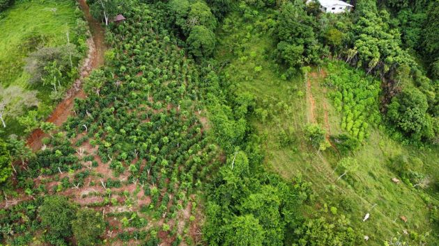 Propiedad con vistas de ensueño en venta en Platanares Hills