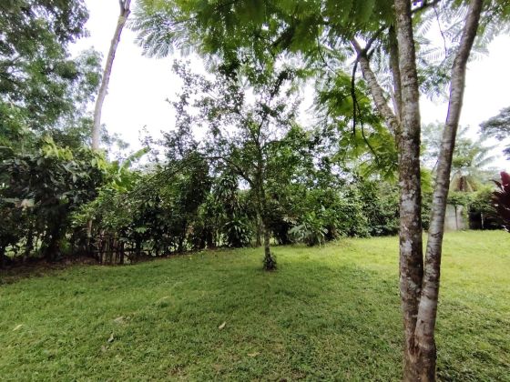 1,306,85 M² Lot For Sale With Fruit Trees And Cozy House