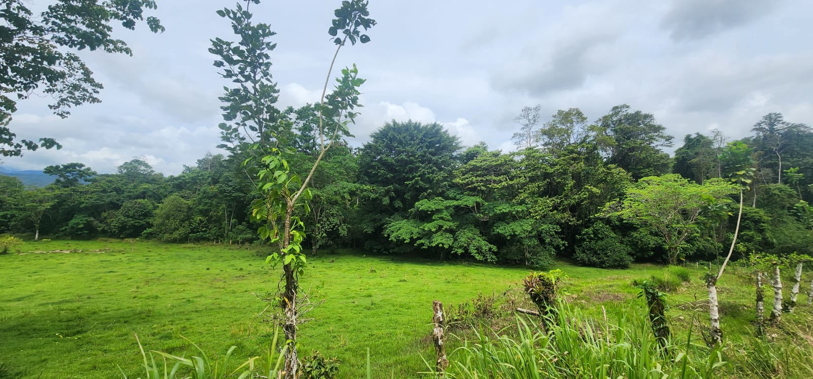 Santa Rosa Estate – 8 ettari di terra incontaminata