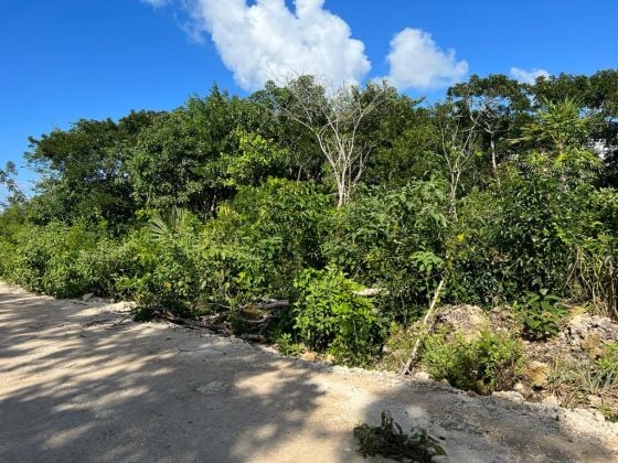 Propriété de 1 acre avec vue sur la mer à vendre ...