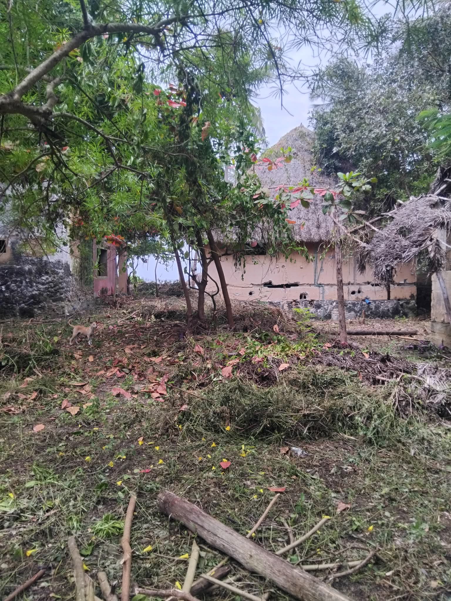 Un hôtel de plage délabré à vendre sur la côte est de Zanzibar, en Tanzanie 