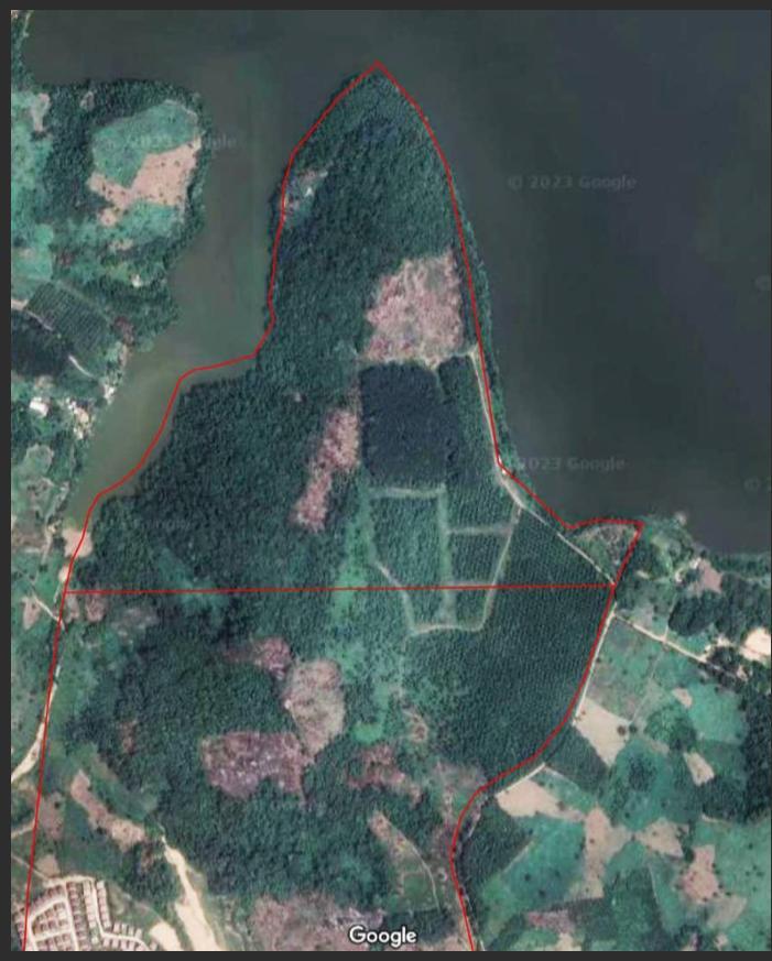 Vendita di un terreno di 50 ettari a Bingerville Akandjé 