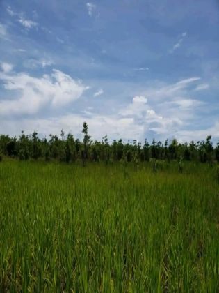 &#55356;&#57151; GRAN TERRENO DE 4,84 HECTÁREAS EN VENTA – ...