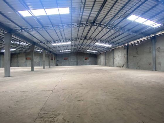 Entrepôts de 3000m² couvert à louer à Kouba 