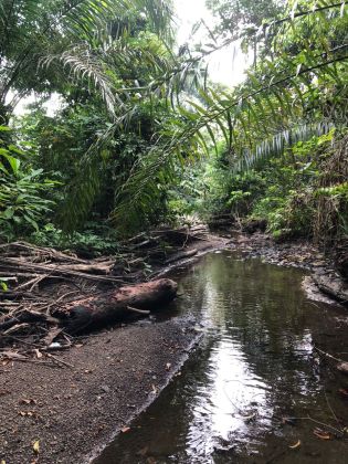 Terrain de 5000 m2 à Malibe 1 