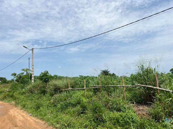 Terrain 500m2 à vendre à Yamoussoukro 