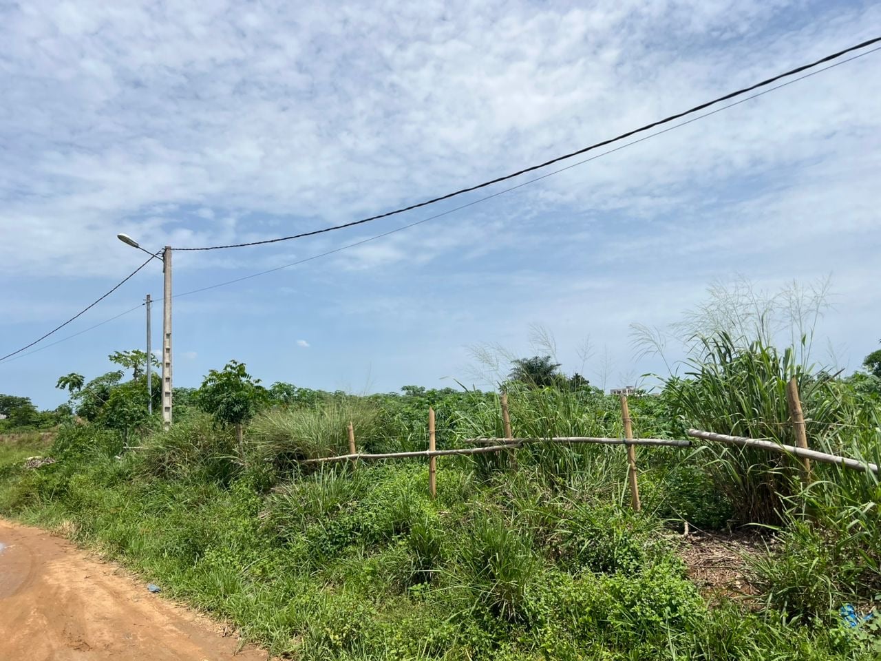 Terrain 500m2 à vendre à Yamoussoukro 