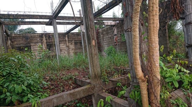 Terrain de 500m2 à vendre sis à Bomono gare 