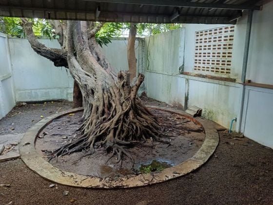 A LOUER SIEM REAP MAISON MEUBLEE 2 CHAMBRES