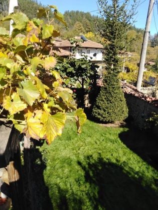 &#55356;&#57313; Authentic 19th Century Revival-Style House for Sale ...