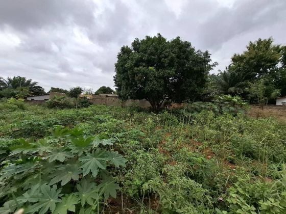 À VENDRE: une parcelle vide, angle de rue, 600 m² à ...