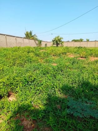 8LOTS COLLÉS CLÔTURÉ À VENDRE À ...