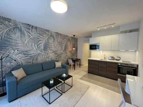 MODERN studio apartment for rent on CORVIN PROMENADE, one of Budapest's ...