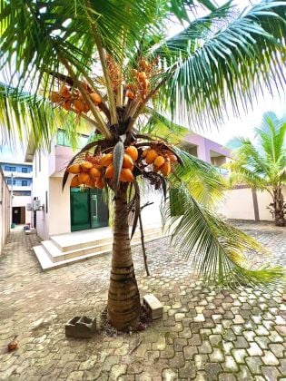 Beau et magnifique duplex de haut standing en vente Lieu à grand ...