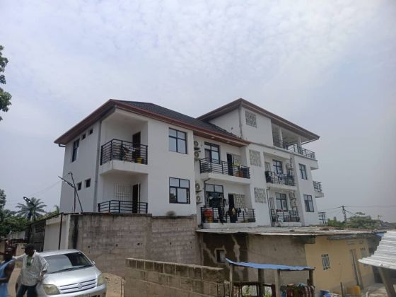 Two-story building R+2 Rental for Sale - Binza Okapi (Monthly income ...