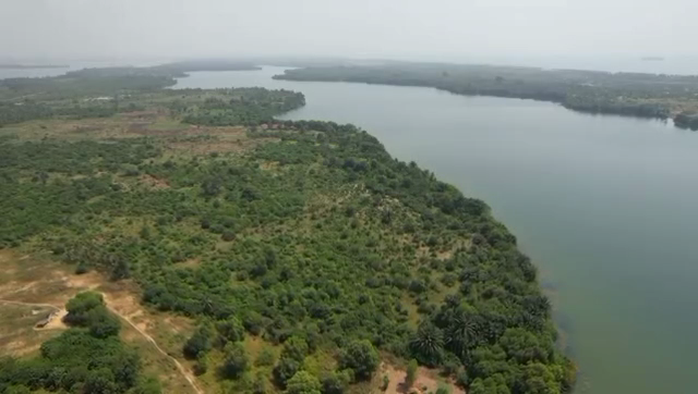 Se vende 20 HECTÁREAS en primera línea de mar en la Bahía de los Multimillonarios, a 10 km de Abiyán.
