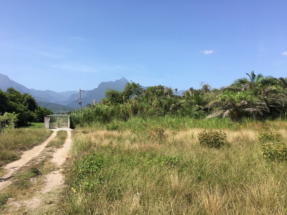 Beach view lot for sale 90' from beach sand La Ceiba Honduras for sale