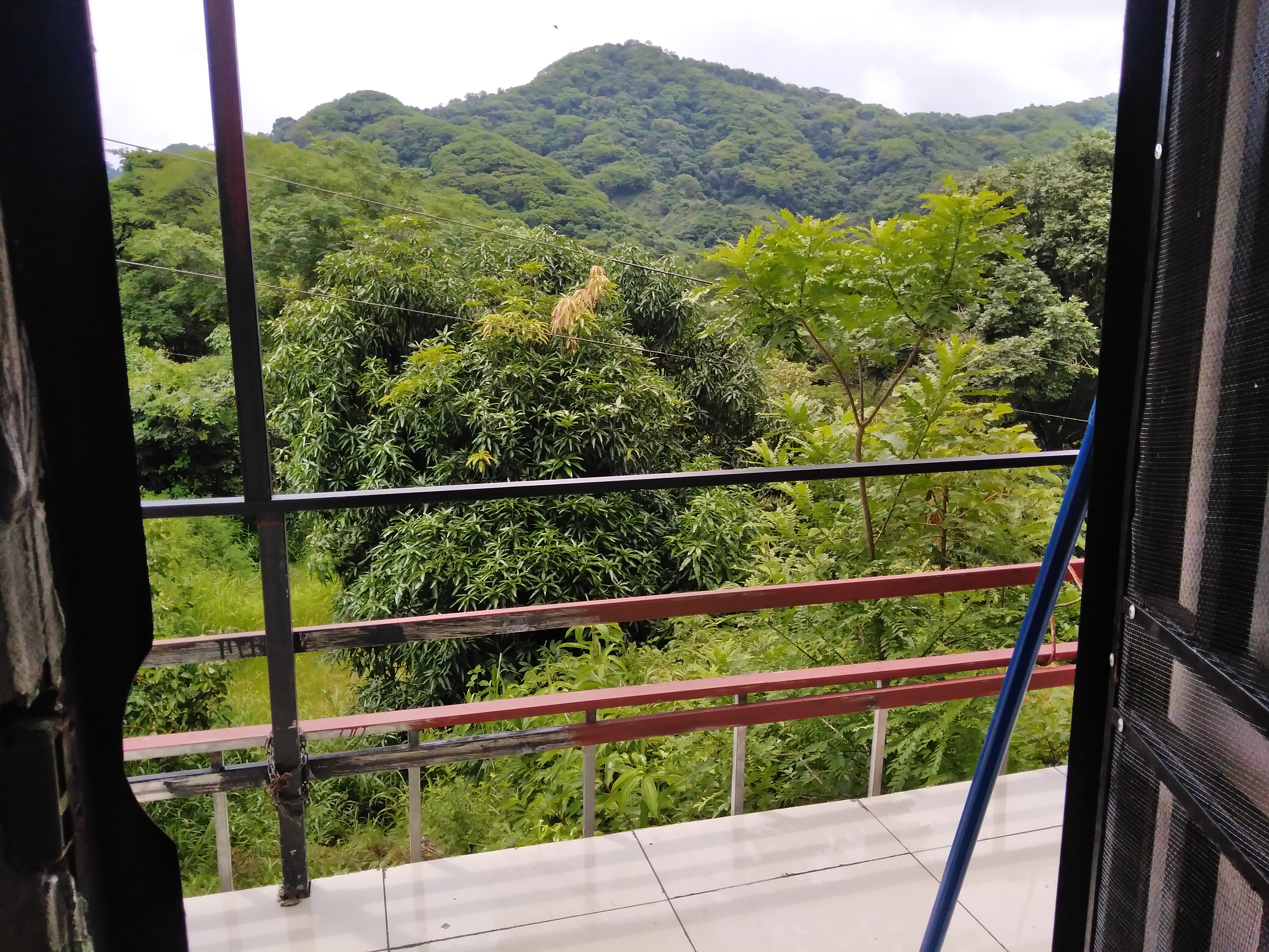 Paradiso nella natura, Curime de Nicoya