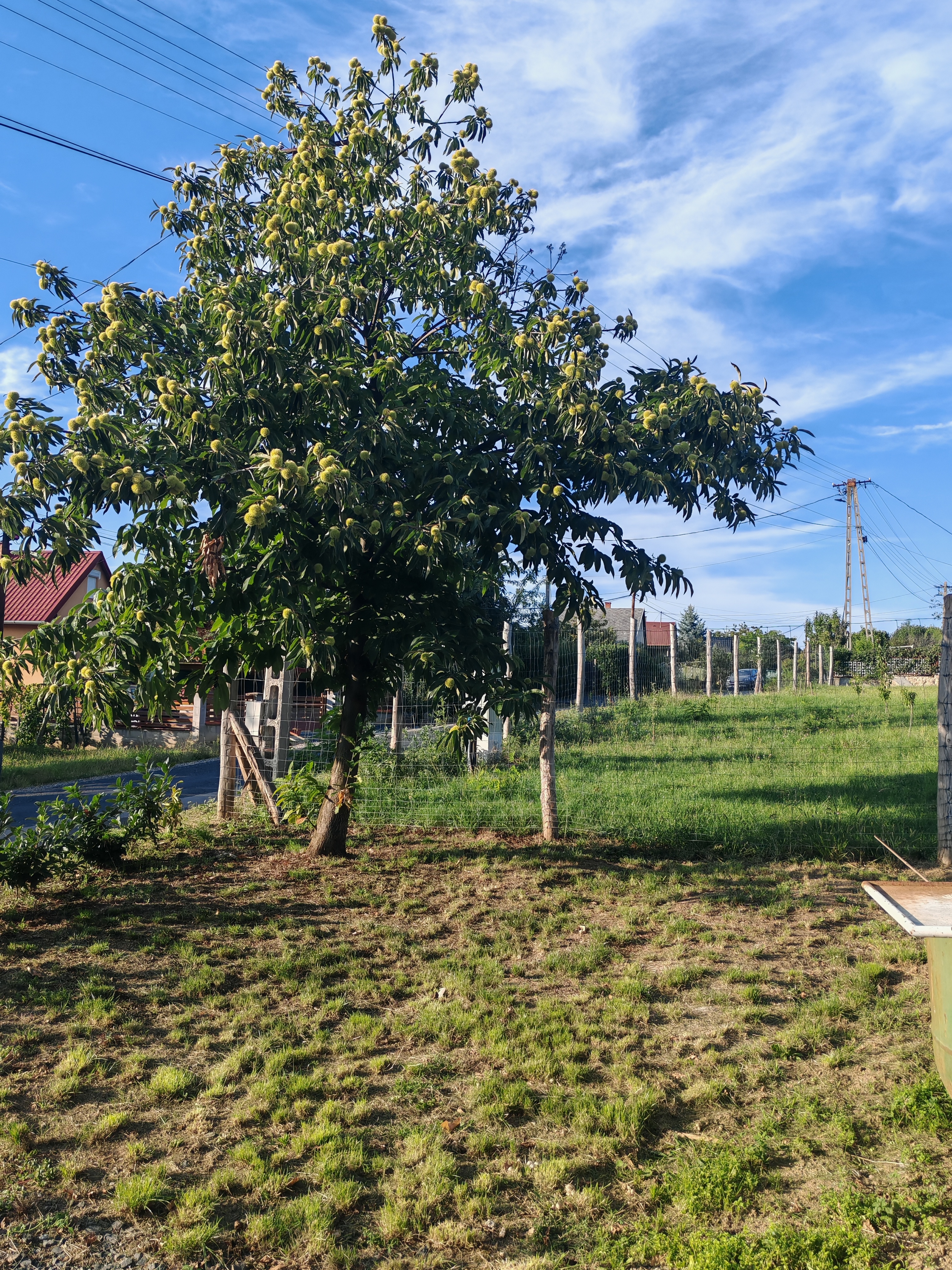 Beautiful land for sale 