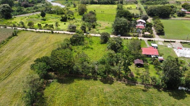 For Sale: Unique Opportunity: 3,497 M² Of Completely Flat And Fertile ...