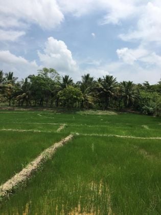 60-Acre Fertile Land for Sale 