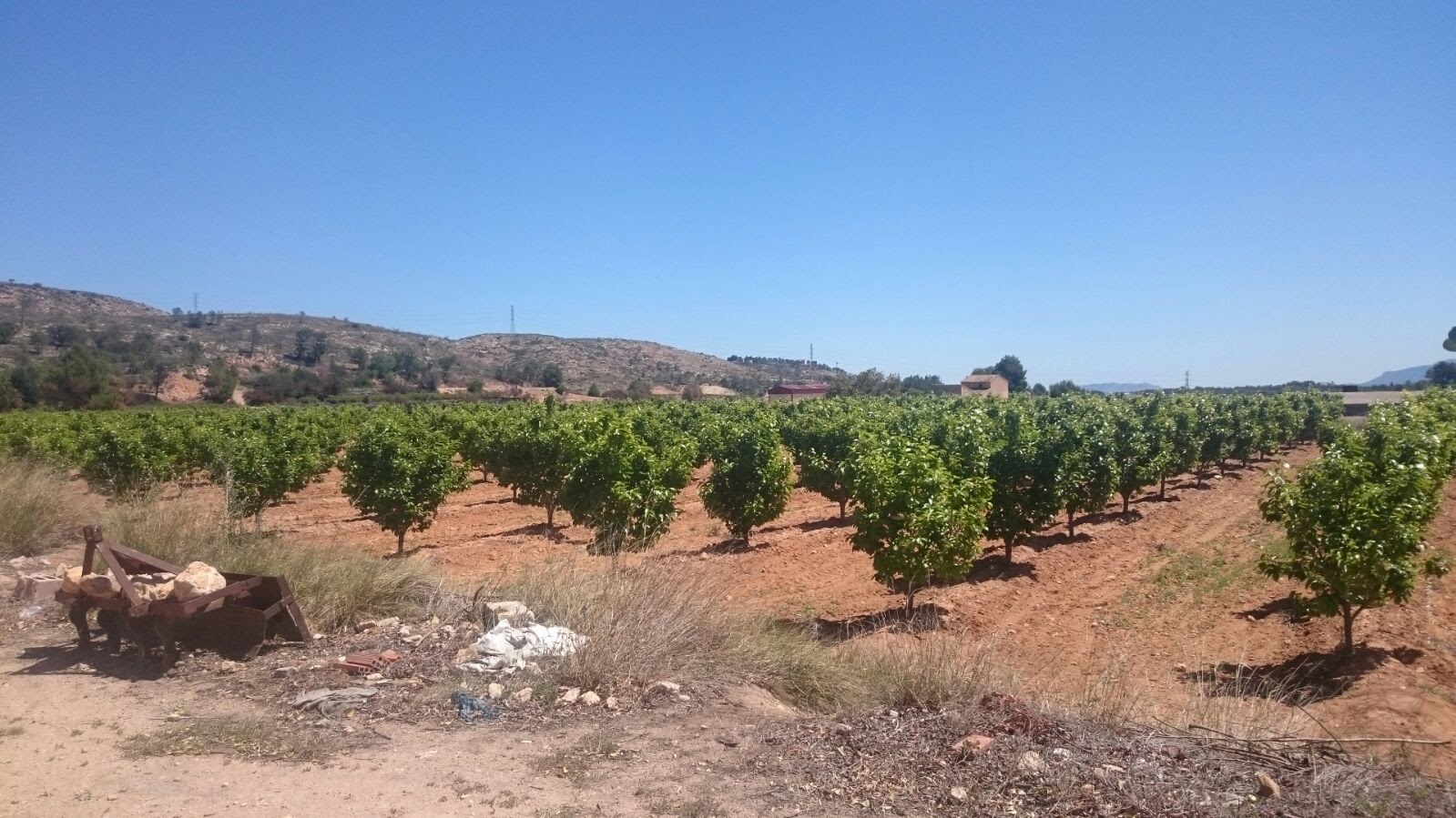 Casa con terreno per godersi la natura e la campagna