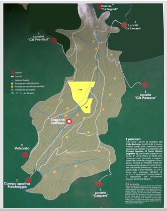 Terreno di bosco ceduo (BG)