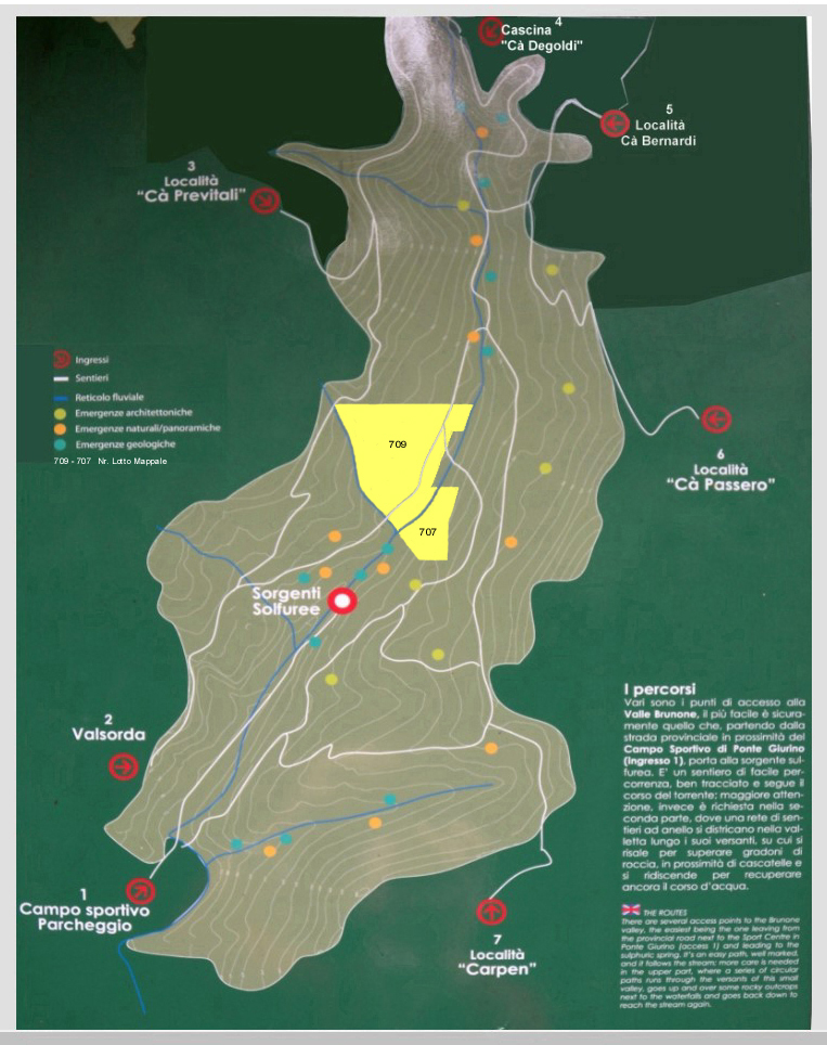 Terreno di bosco ceduo (BG)