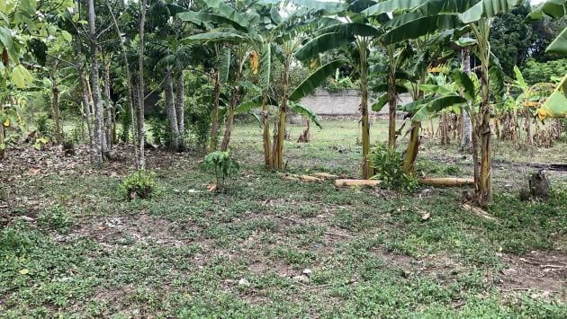 Terreno económico completamente vallado en venta con casa en Lori ...