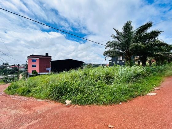 469 m2 disponibles en Cité Chirac