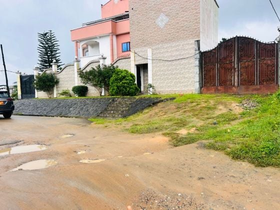 1000 m2 available for subdivision in Yassa Nkolbong 