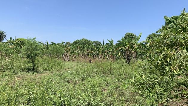 Terreno económico para construcción o cultivo en venta en ...