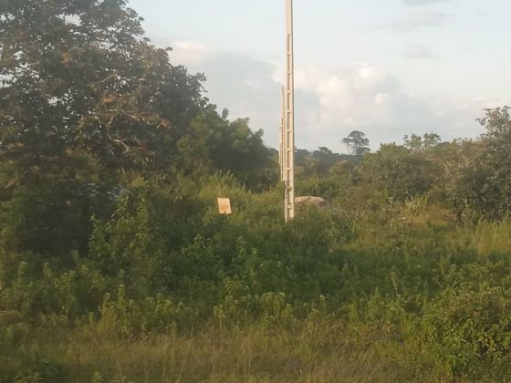 TERRAIN VIABILISER A VENDRE 