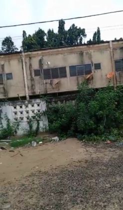 Vente d'un beau terrain de 600m2 avec a ACD a cocody riviera 4 Bushman cafe